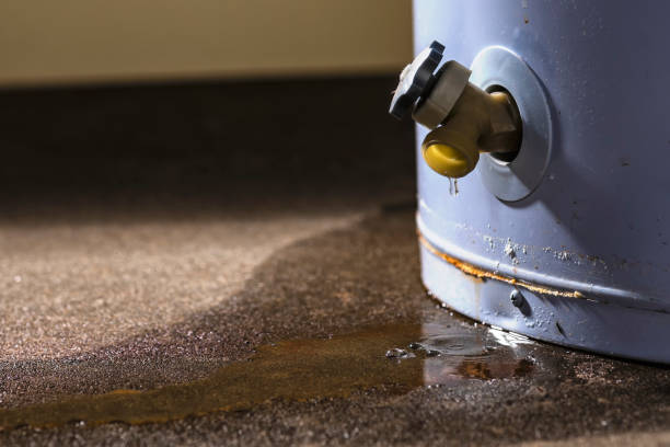 Best Fire Damage Restoration  in Parowan, UT