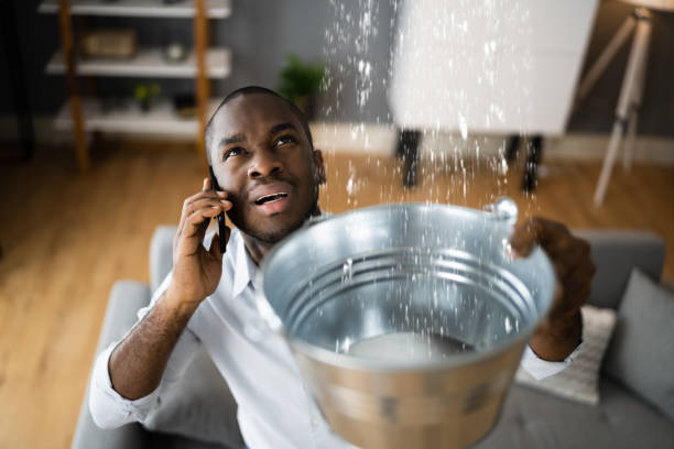 Best Flooded house restoration  in Parowan, UT