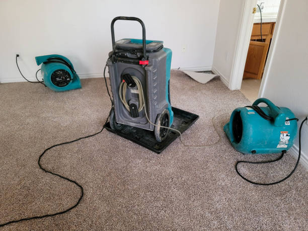 Best Water damage restoration near me  in Parowan, UT
