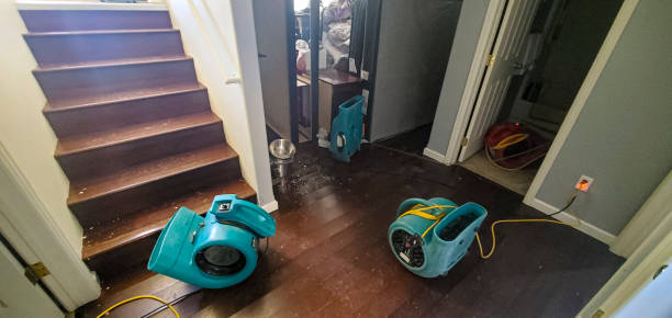 Best Water damage restoration near me  in Parowan, UT