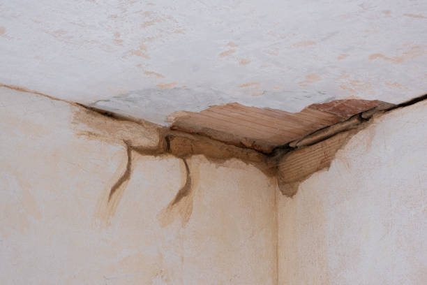 Best Sewage cleanup and water damage restoration  in Parowan, UT
