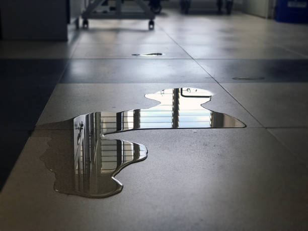 Best Water damage cleanup near me  in Parowan, UT