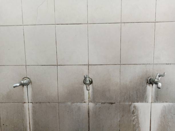 Carpet water damage restoration in UT