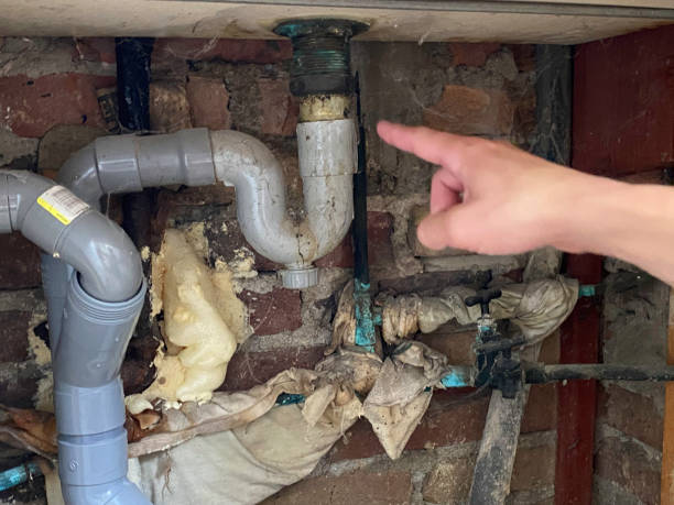  Parowan, UT Water damage restoration Pros