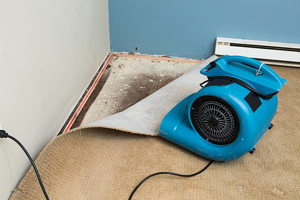 Best Residential water damage restoration  in Parowan, UT